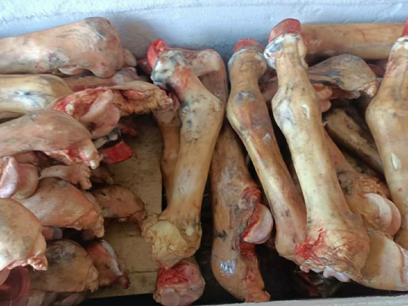 驴肉批发
