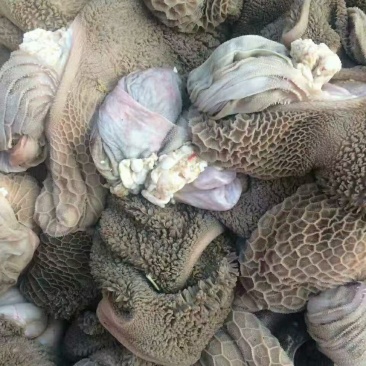 羊副批发产品