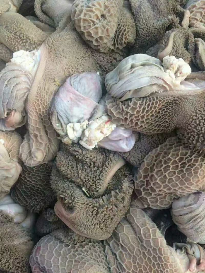 羊副批发产品