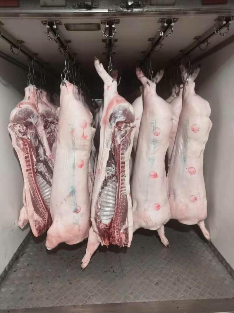 鲜肉类猪肉批发价，每天夜里现杀非常的新鲜