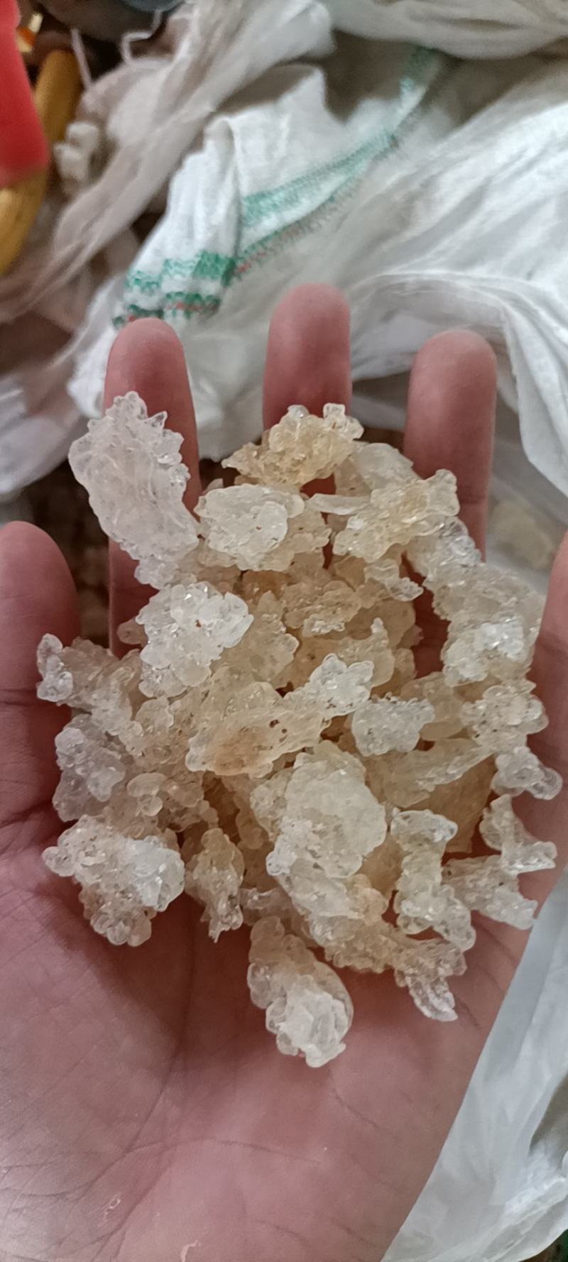 拉丝雪燕拉丝度高颜色纯净干净泡发高