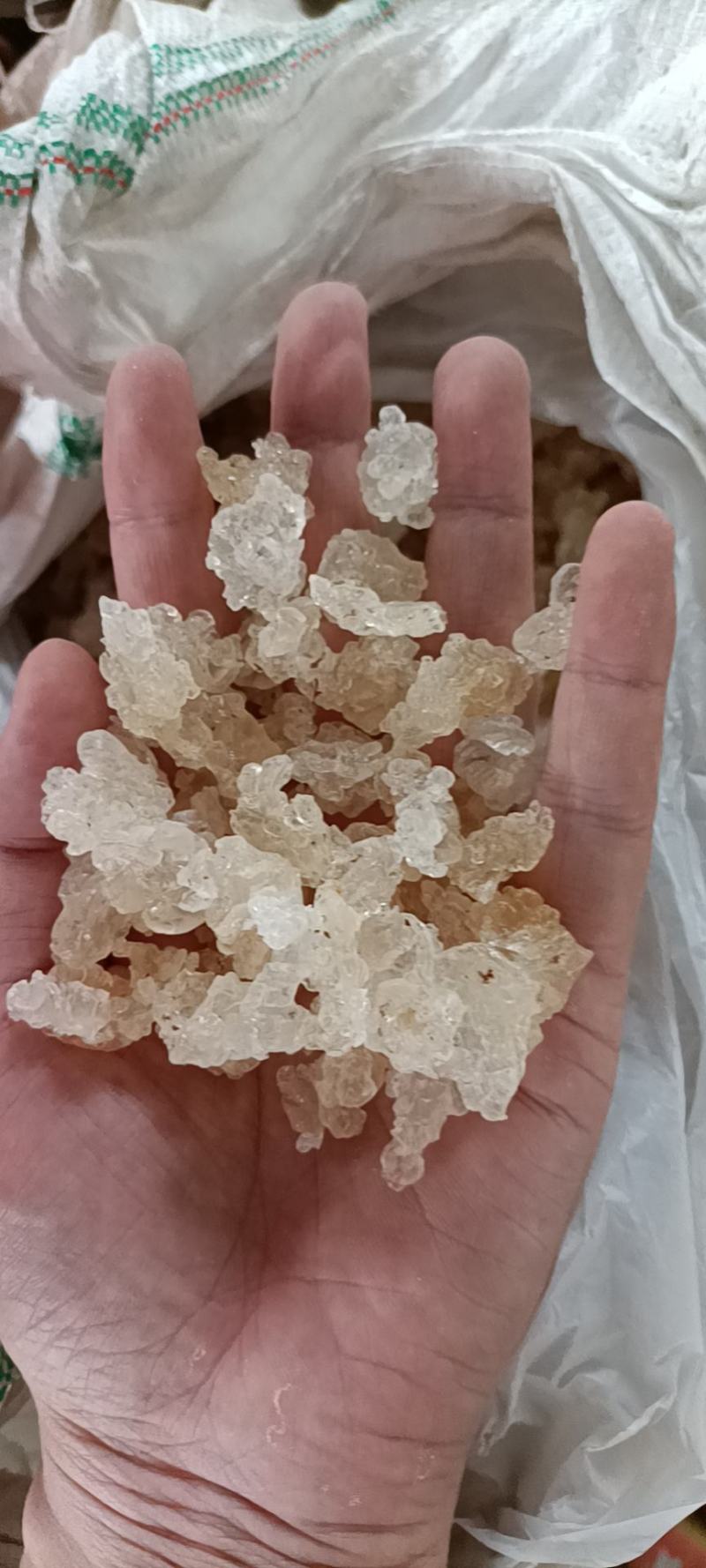 拉丝雪燕拉丝度高颜色纯净干净泡发高