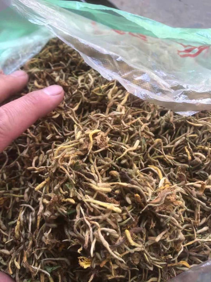 野生金银花