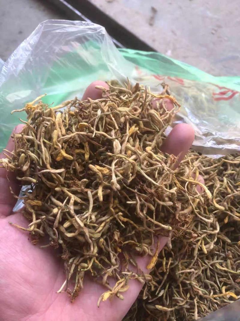 野生金银花