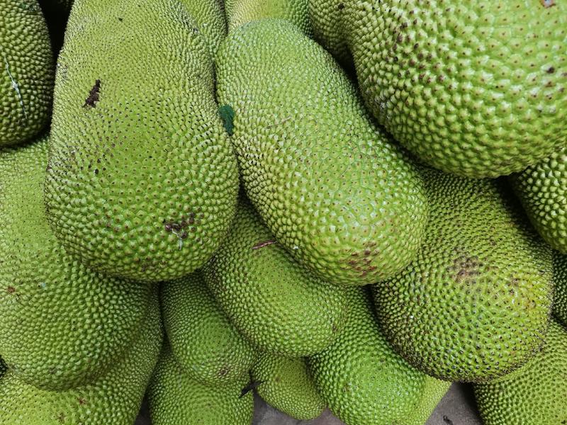 新鲜菠萝蜜产地直发，货发全国一件代发，保质保量量大从优！