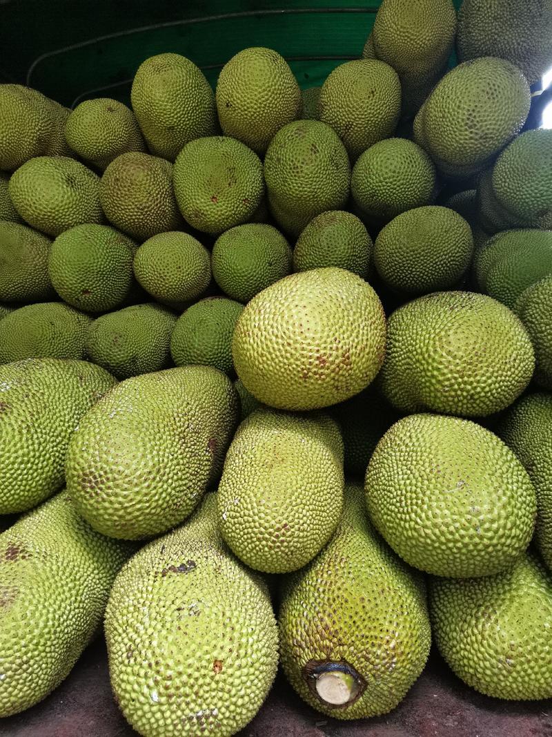 新鲜菠萝蜜产地直发，马来西亚一号，泰八货发全国一件代发。