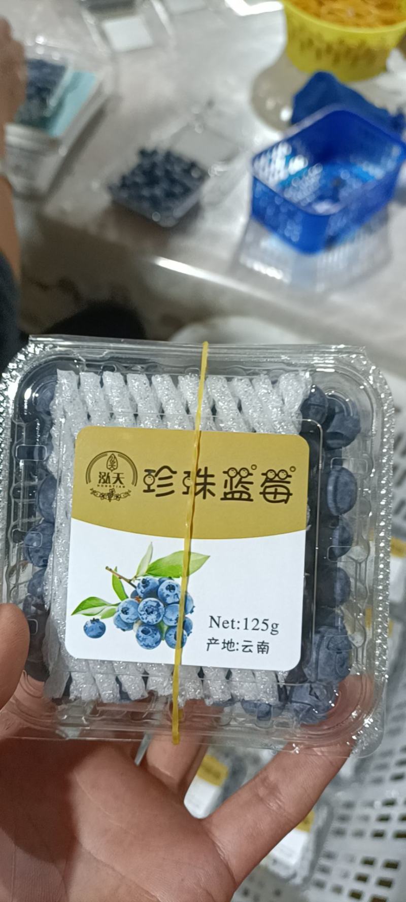 云南蓝莓基地直供