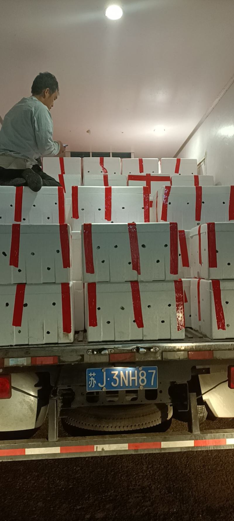 云南蓝莓基地直供