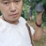 2026头茬黑宝石李子/河南万亩基地产地源头代发保质保量