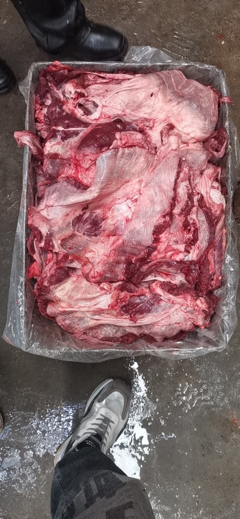 现场实拍#精品罗肌肉（护心肉）修油好，完整度高。肉厚