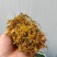 大量供应金银花全开花，品质保证，质量不好可退货