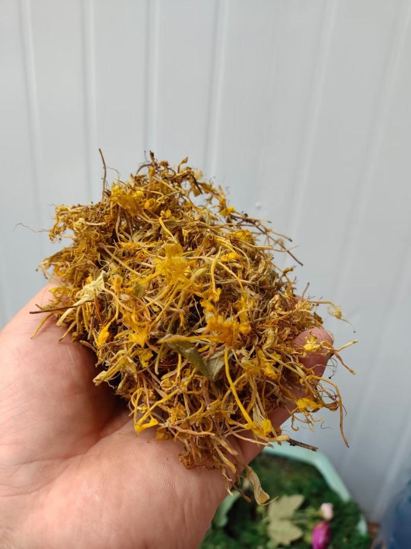 大量供应金银花全开花，品质保证，质量不好可退货