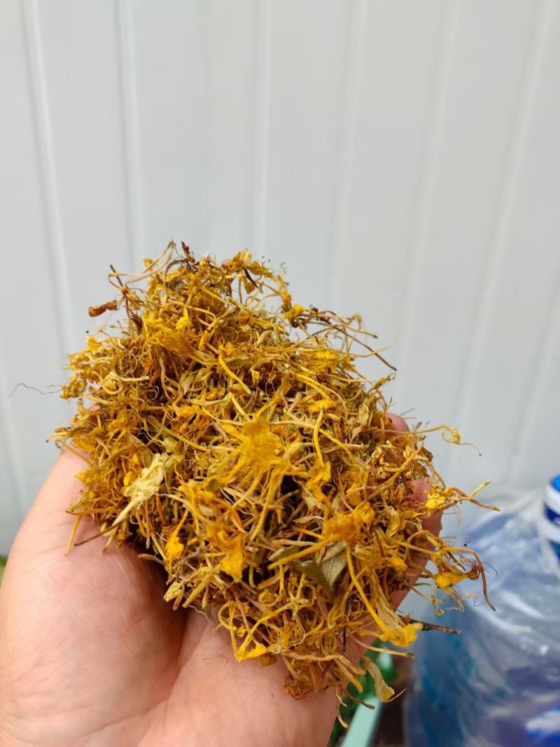 大量供应金银花全开花，品质保证，质量不好可退货