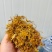 大量供应金银花全开花，品质保证，质量不好可退货