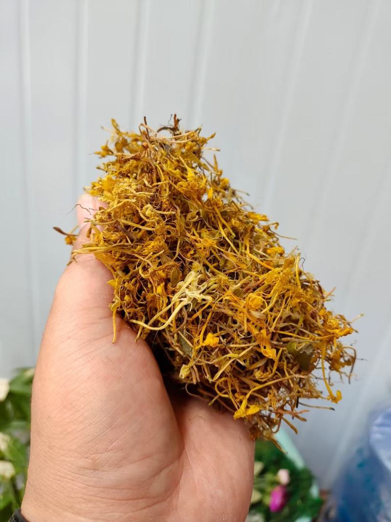 大量供应金银花全开花，品质保证，质量不好可退货