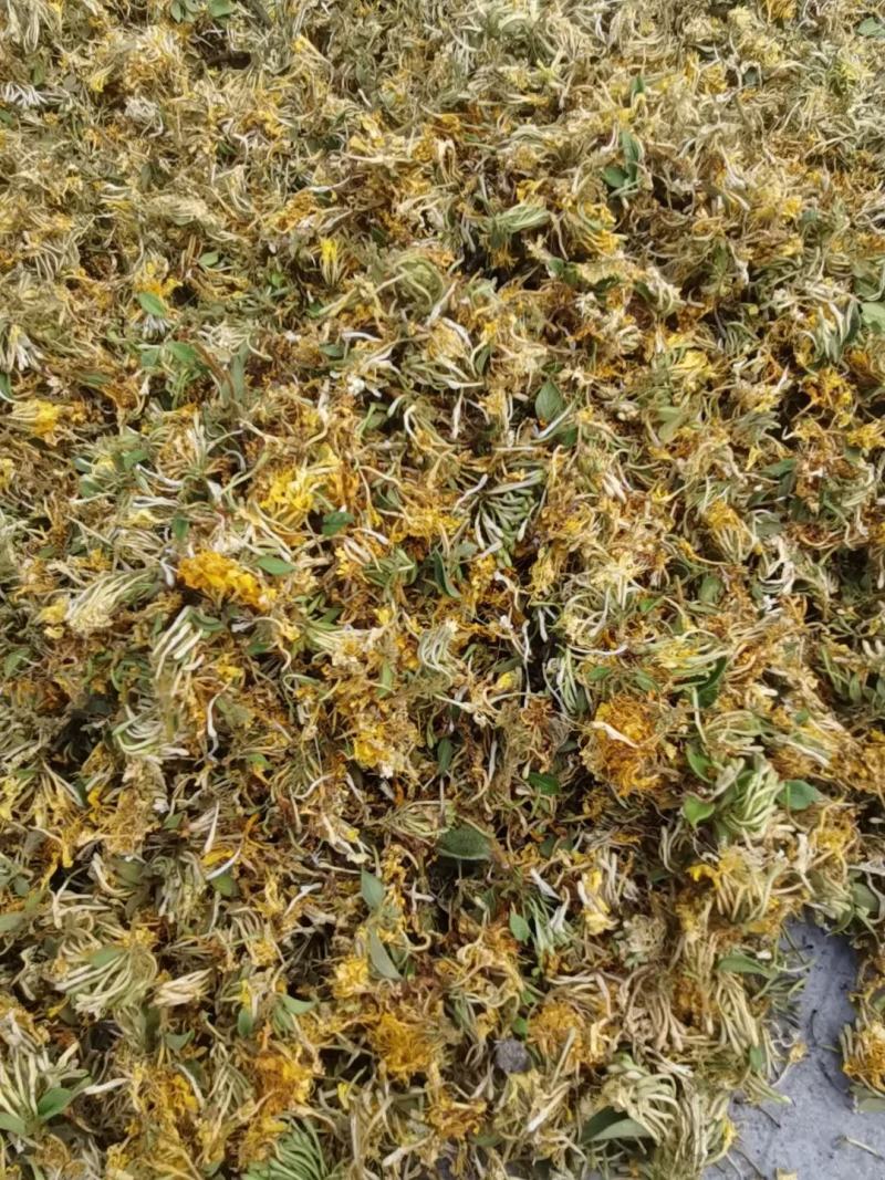大量供应金银花统货，色香味俱全价格便宜，