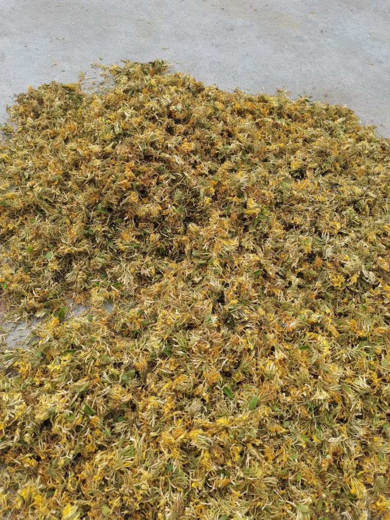 大量供应金银花统货，色香味俱全价格便宜，