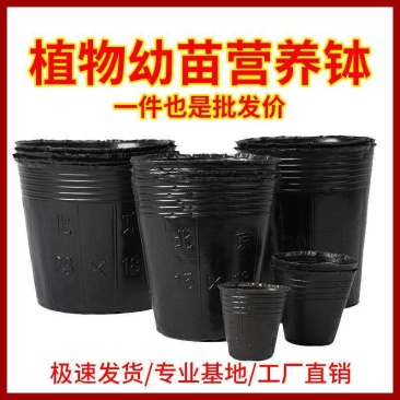 加厚营养杯育苗杯塑料营养钵加厚育苗袋农用育苗盆一次性花盆