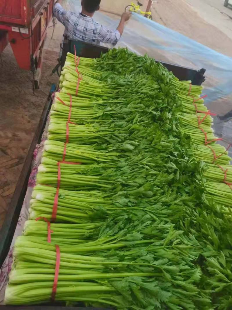 芹菜青菜