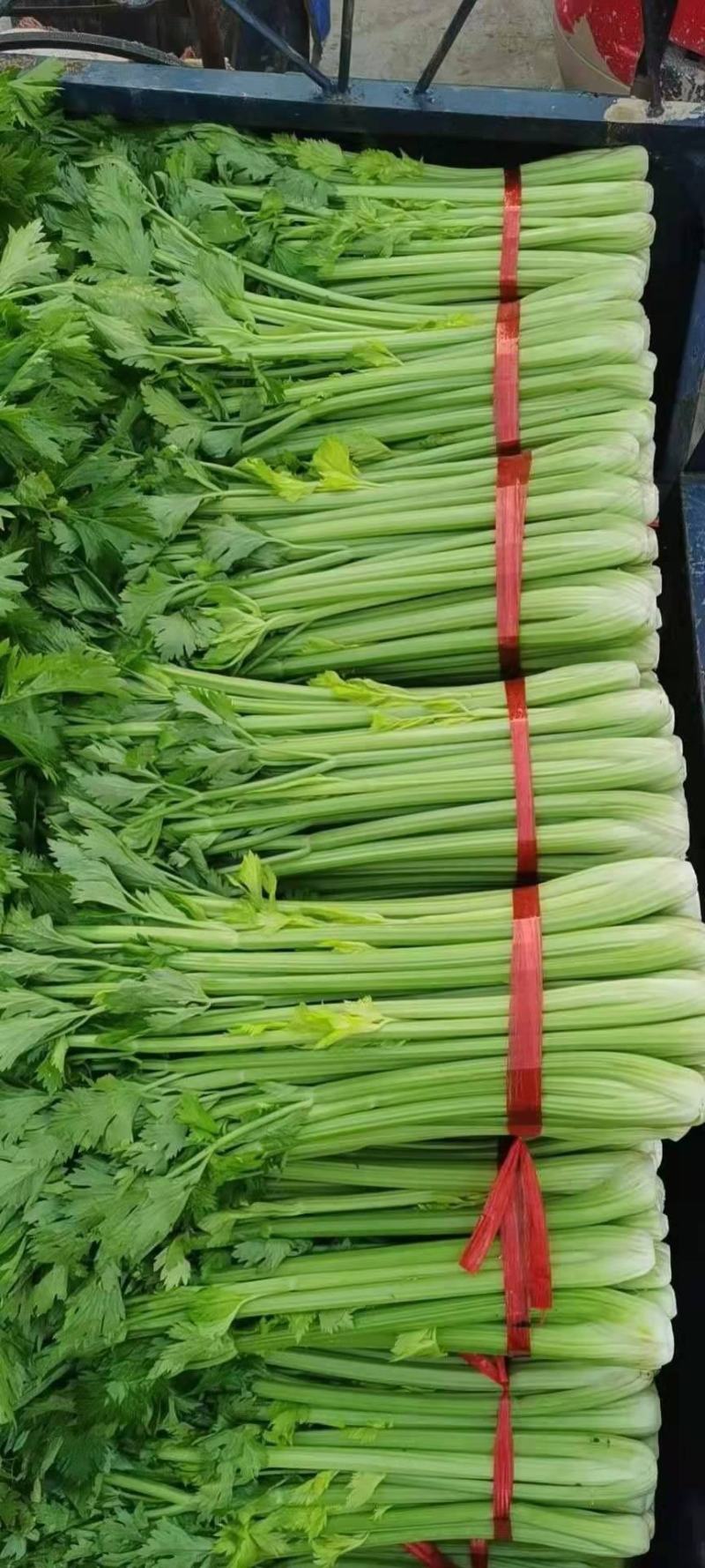 芹菜青菜
