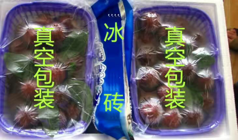 正宗仙居杨梅，个大，安全味甜。好山好水好风光养出好杨梅