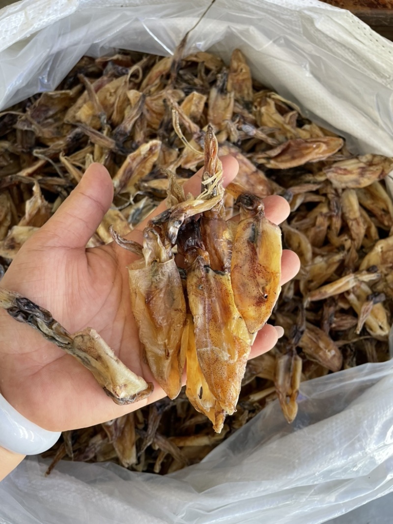 北海华侨船晒鱿鱼筒吹筒灯光鱿鱼仔淡干海鲜干货大号