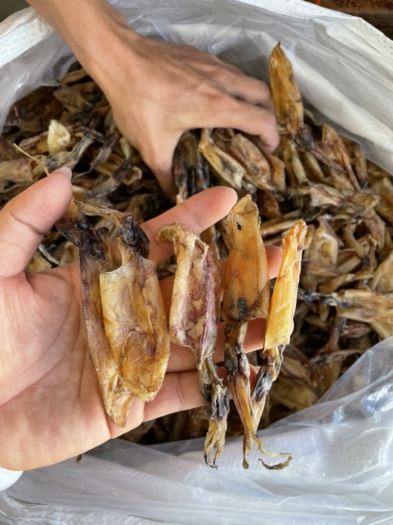 北海华侨船晒鱿鱼筒吹筒灯光鱿鱼仔淡干海鲜干货大号