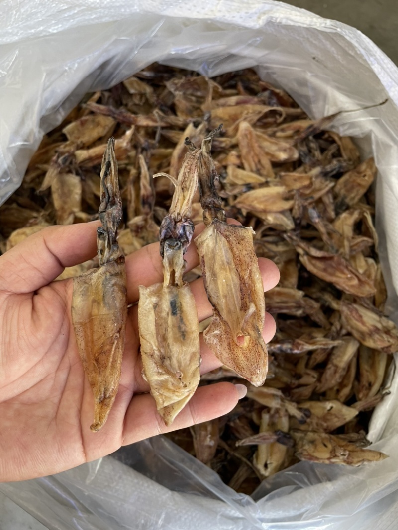 北海华侨船晒鱿鱼筒吹筒灯光鱿鱼仔淡干海鲜干货大号