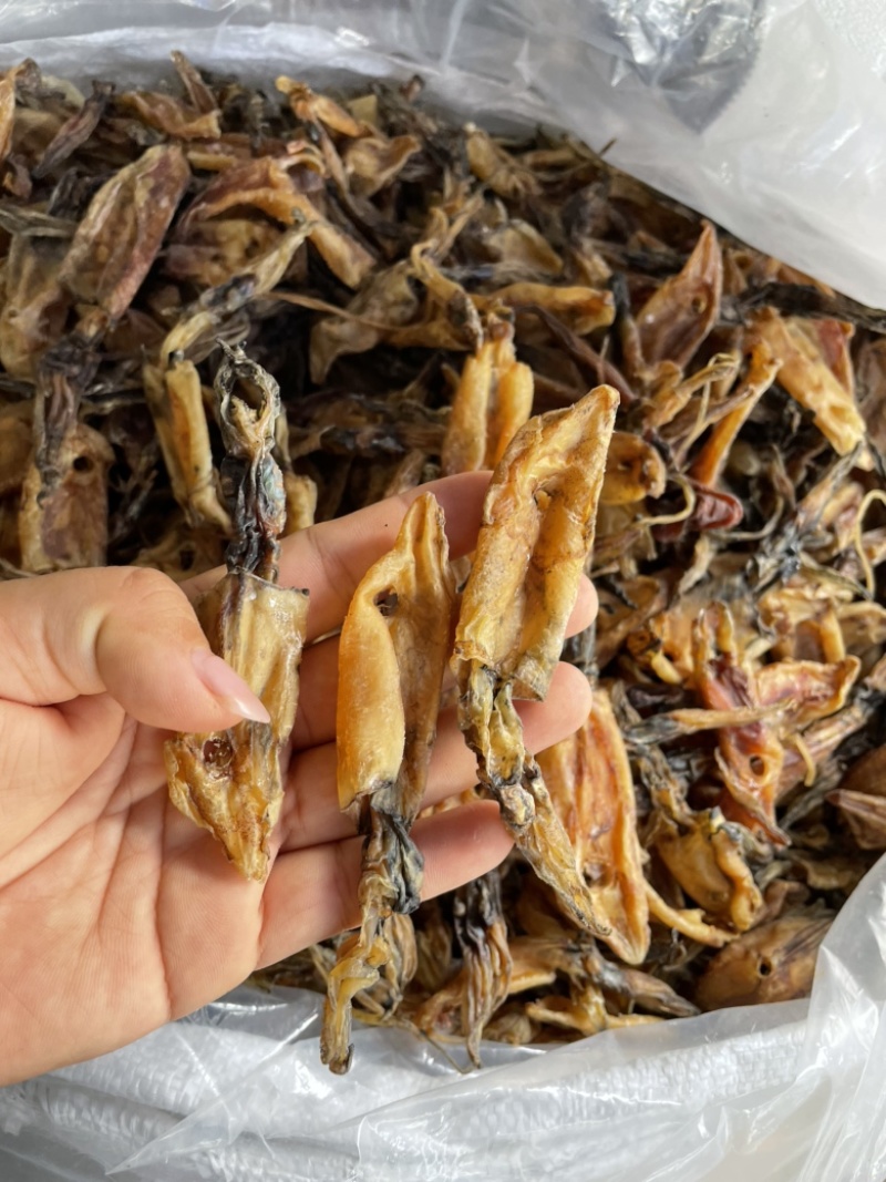 北海华侨船晒鱿鱼筒吹筒灯光鱿鱼仔淡干海鲜干货大号
