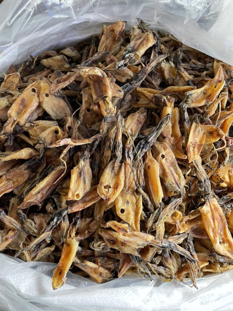 北海华侨船晒鱿鱼筒吹筒灯光鱿鱼仔淡干海鲜干货大号