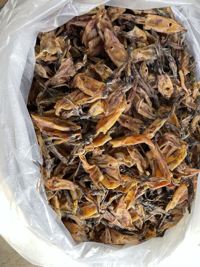 北海华侨船晒鱿鱼筒吹筒灯光鱿鱼仔淡干海鲜干货大号