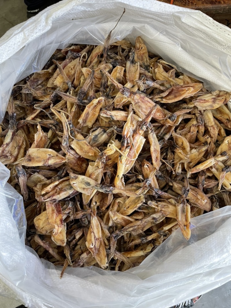 北海华侨船晒鱿鱼筒吹筒灯光鱿鱼仔淡干海鲜干货大号