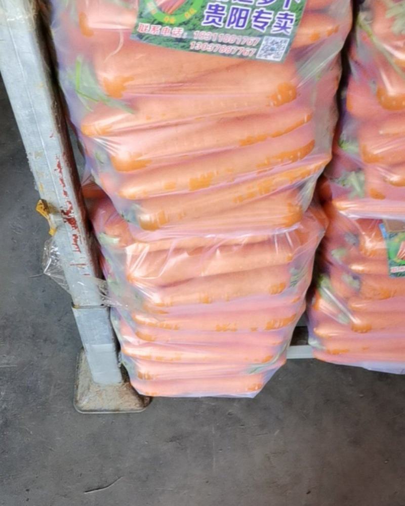 大量供应精品水洗胡萝卜，有需要的新老客户请联系我！