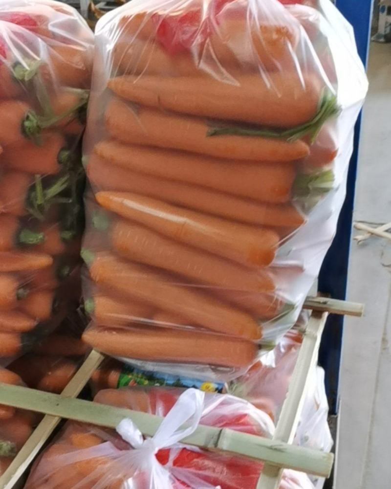 大量供应精品水洗胡萝卜，有需要的新老客户请联系我！