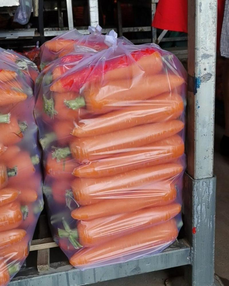 大量供应精品水洗胡萝卜，有需要的新老客户请联系我！