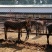 驴大体型驴400～600