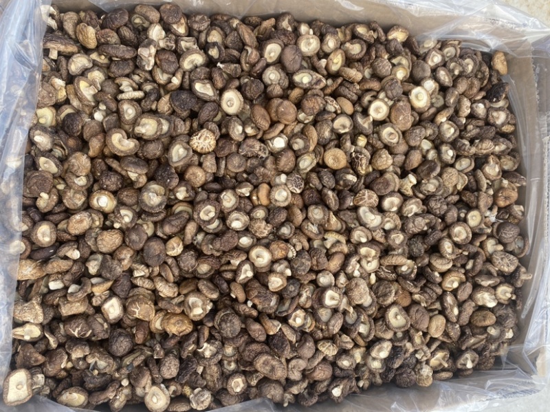 产地直供香菇平脚香菇干干香菇油面菇冬菇包邮