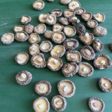 产地直供香菇平脚香菇干干香菇油面菇冬菇包邮