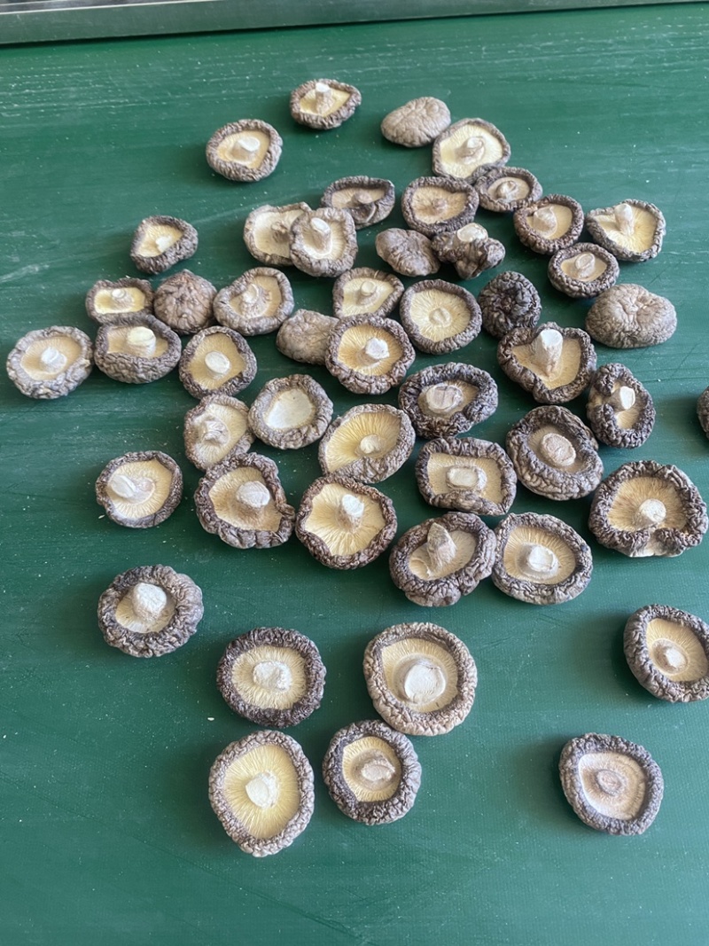 产地直供香菇平脚香菇干干香菇油面菇冬菇包邮