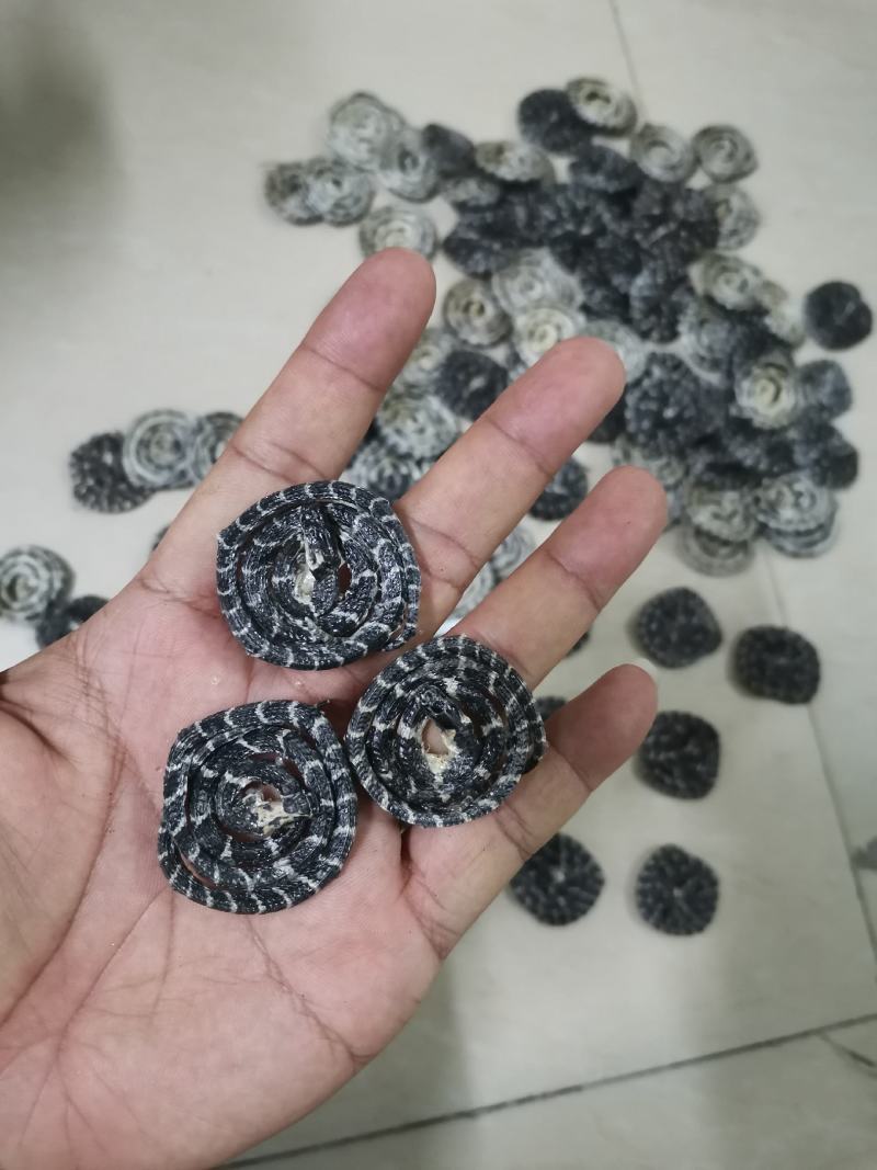 药用金钱白花蛇3到6公分以内2020版药典标准大量批发
