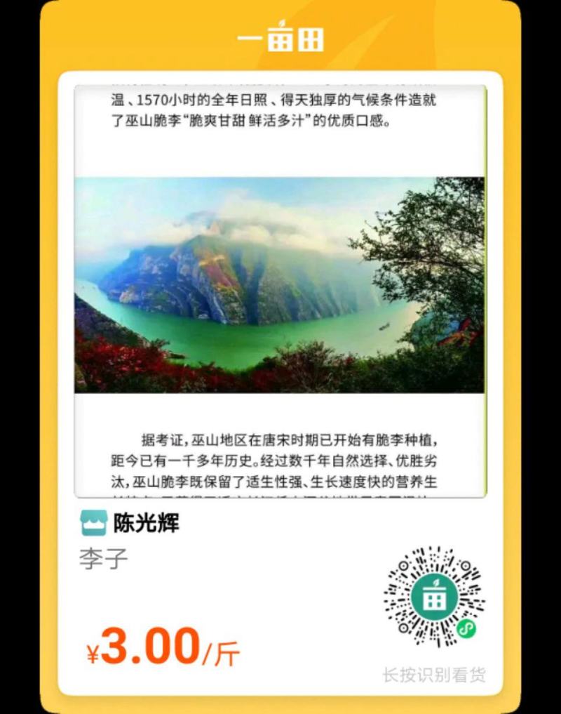正中曲尺脆李，需要的赶紧。量大从优