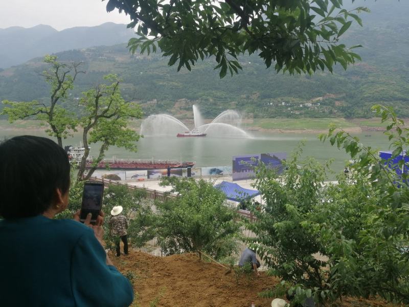 正中曲尺脆李，需要的赶紧。量大从优