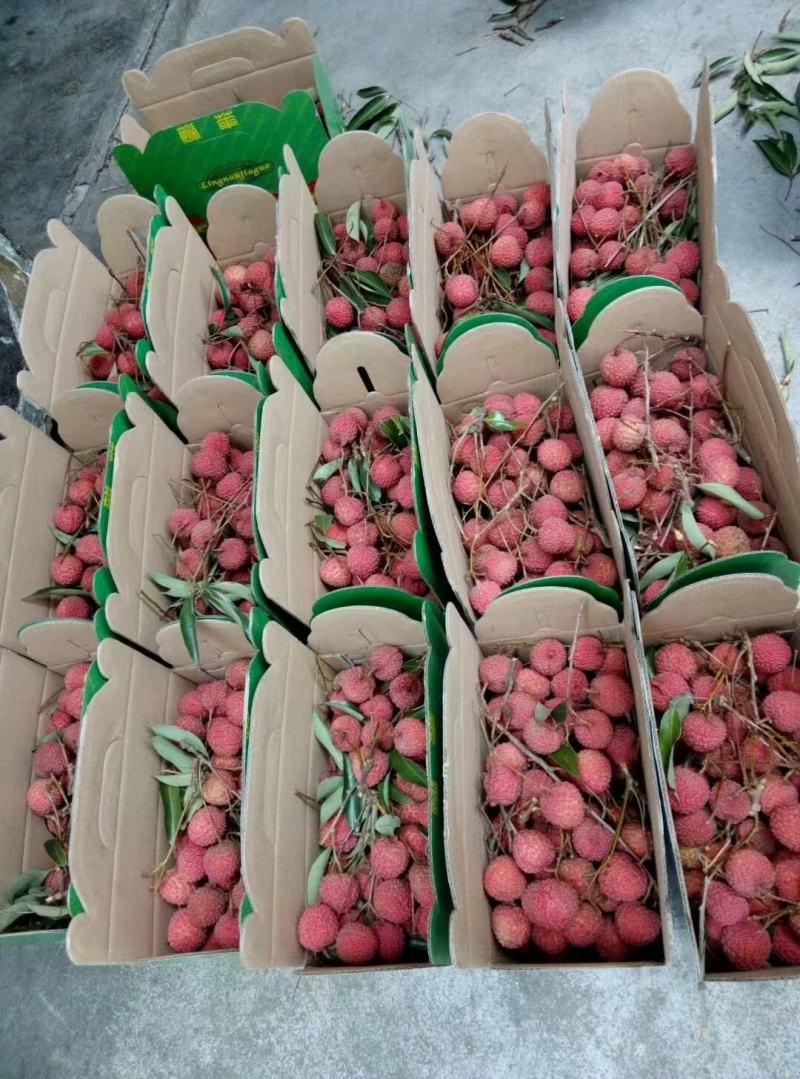 桂米荔枝