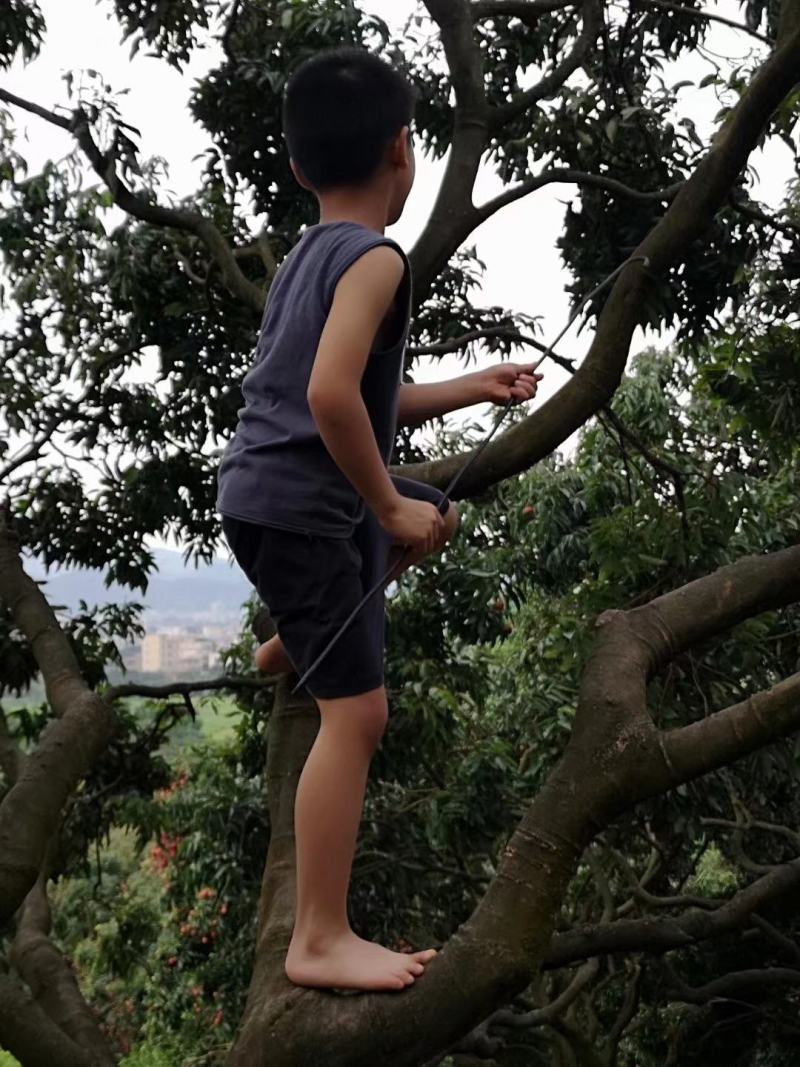 桂米荔枝