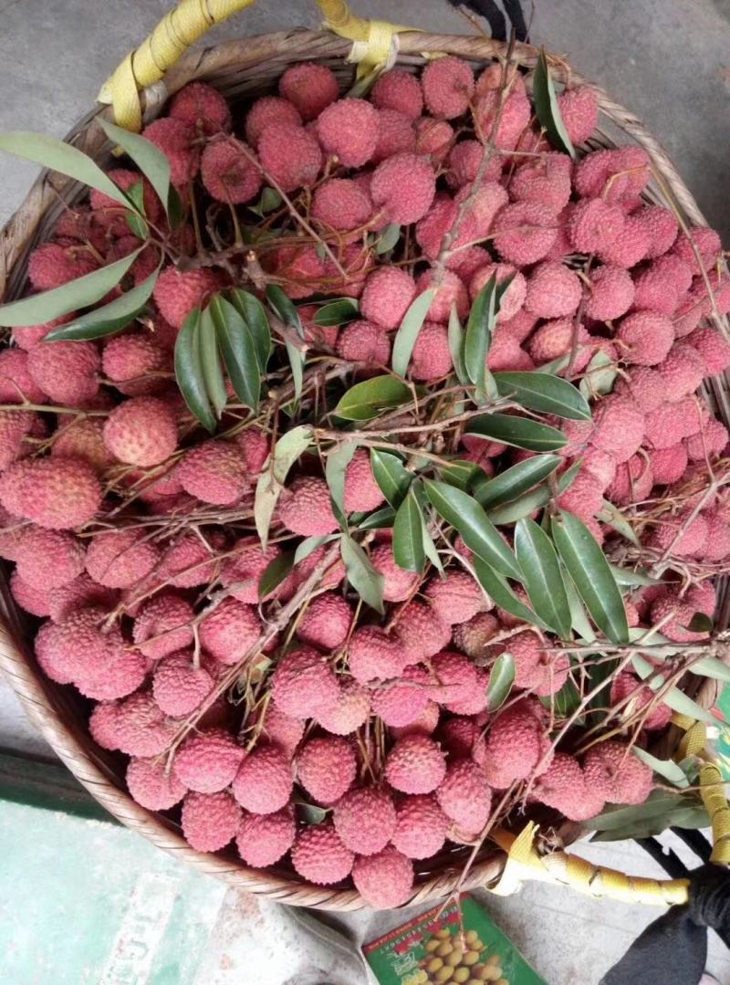 桂米荔枝