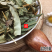 云南中药材凤尾草干凤凰草金鸡尾凤尾蕨金鸡爪
