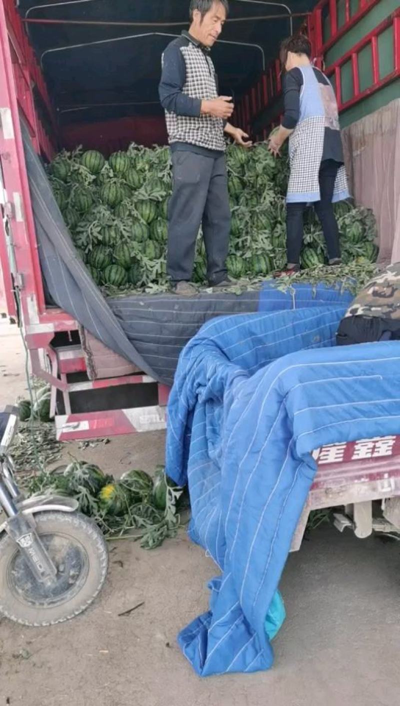 山东省兰陵县西瓜以上市，7斤打底，9成熟。