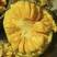 海南优质黄肉菠萝蜜，产地直供，有便宜顺风车！