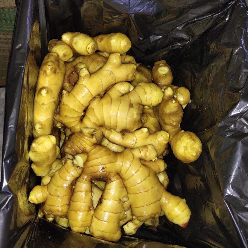 水洗大黄姜产地代收代发保质保量价格便宜大量供应中