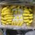 大量现货，菲律宾进口香蕉，一箱29斤只要20元一箱